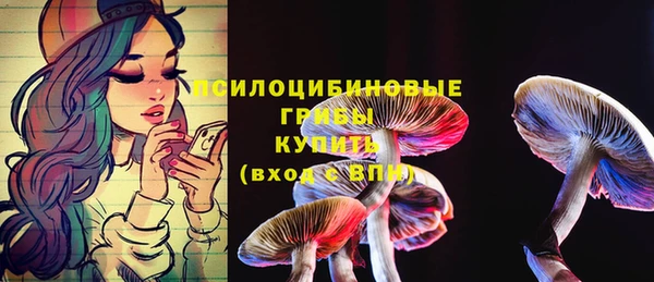 не бодяженный Богородск