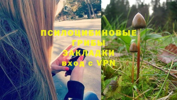 СК Богданович