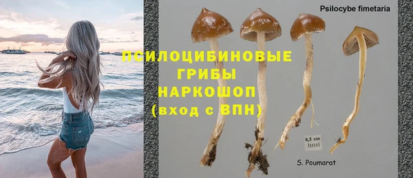 СК Богданович