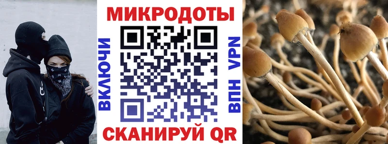 закладки  Сланцы  МЕГА   Псилоцибиновые грибы Psilocybine cubensis 