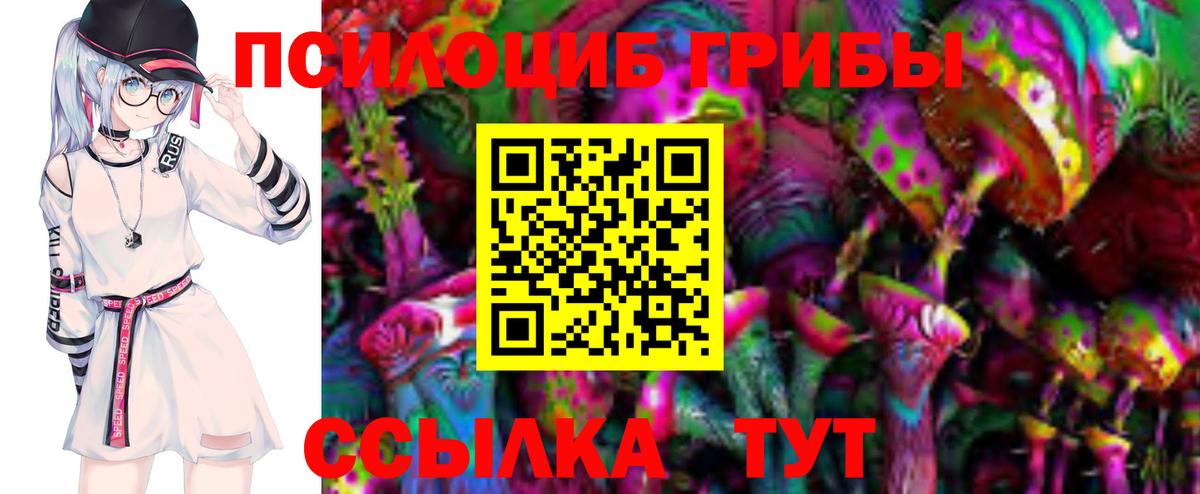 Галлюциногенные грибы Cubensis  Вход с VPN  Сланцы 